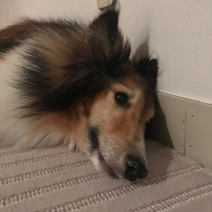 9ab83661 31aa 4733 a51a 5811bbd2deec