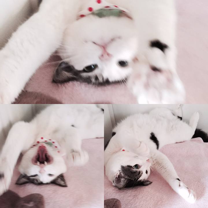 9ab842d7 ad95 440a bb07 6141e7e18b8c