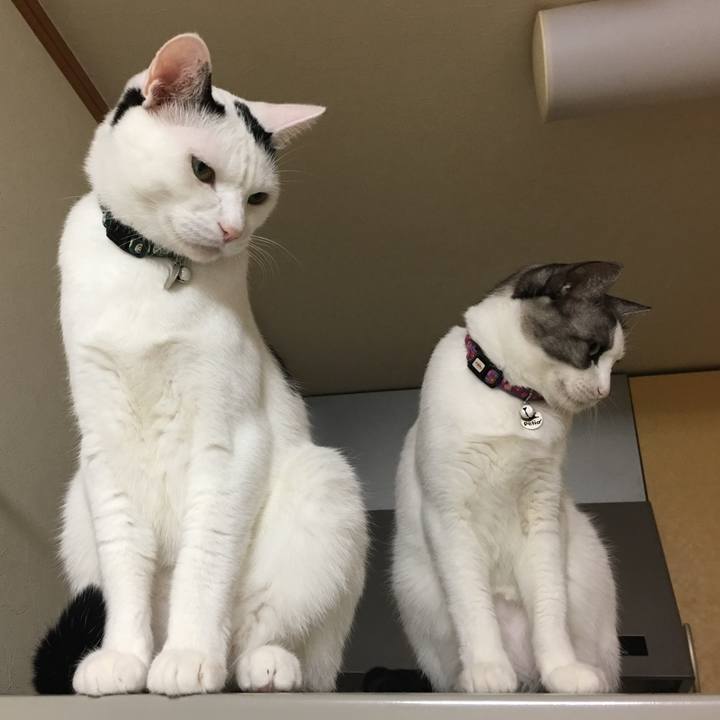 9ab84891 922b 46ad a95a d2ce2302ffd4