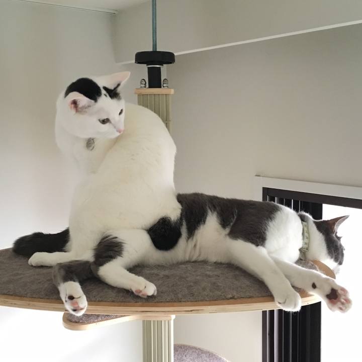 9ab9120a 993d 41ff 8080 c06b3ca00c21