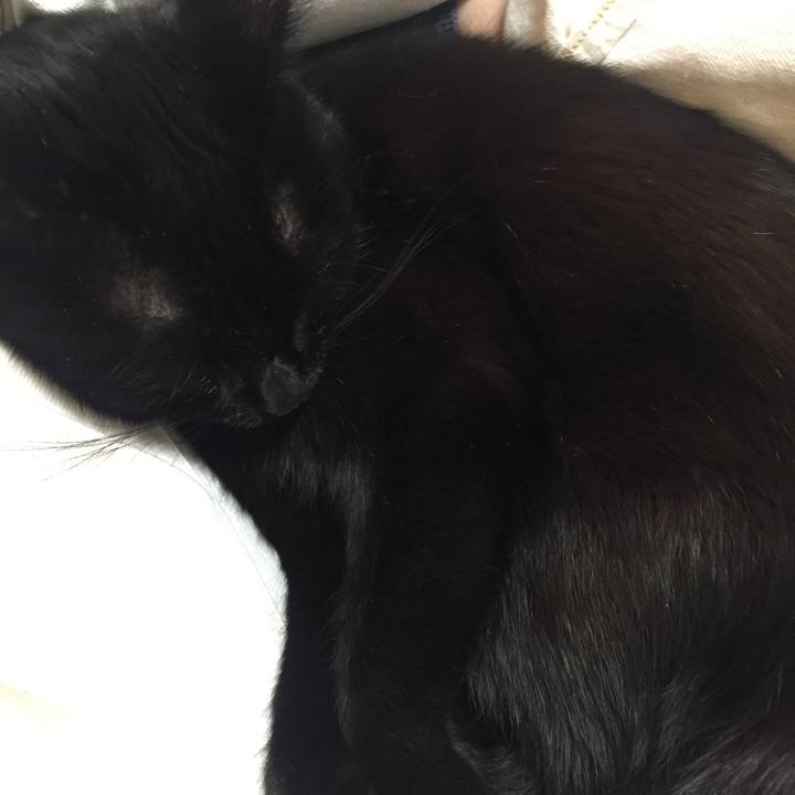 9ab9aca6 0813 43d8 9f5d f98ffe086f33