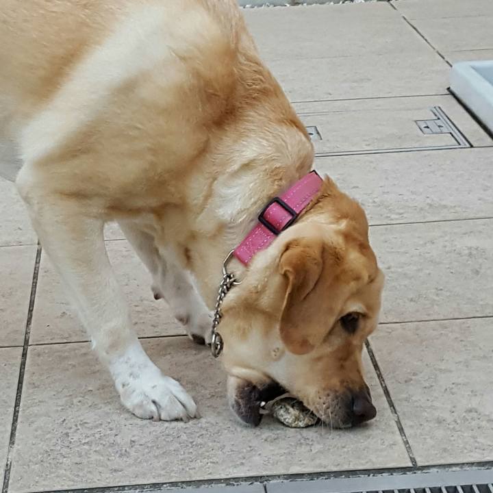 9ab9d6c3 1100 4c33 8a38 f66762136488