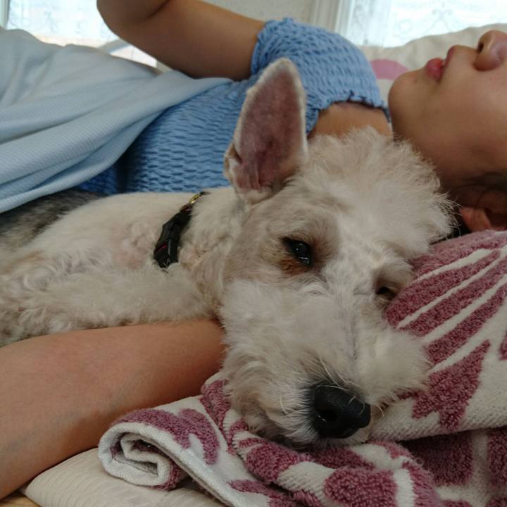 9ab9f5fb c7fc 4e04 893f 7aa08fd0eac6