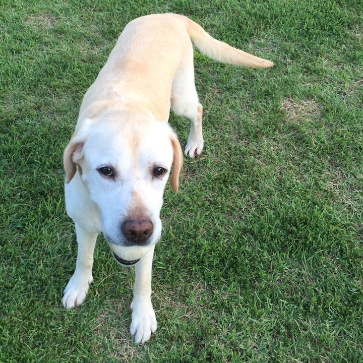 9aba2ef1 2d7d 49b9 bdbf 3a87b4ef4d58