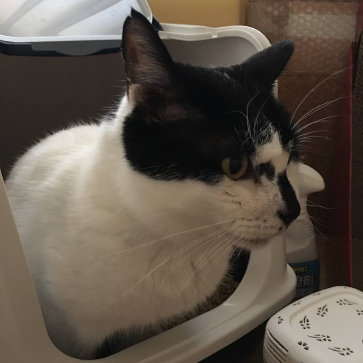 9abac3c8 0df3 4a7c 9857 f5c35be9933d