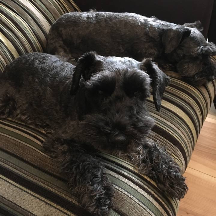 9abb753a bbbc 486d 949c b5d6b8390bd9