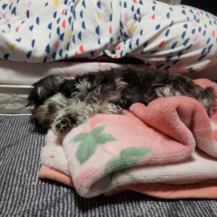 9abc1650 342d 4e5a b2b9 105044c50f7b