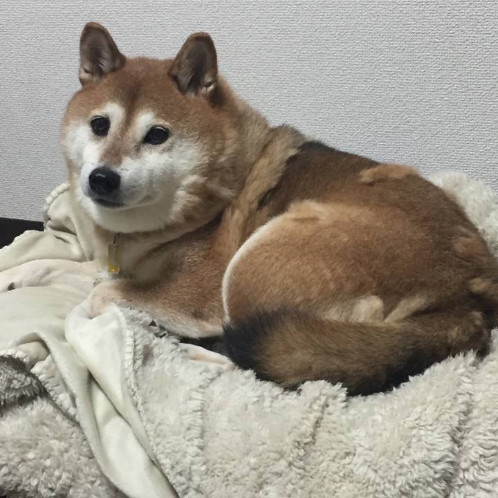 9abd45fc 94da 4da4 8761 a650e58f96ee