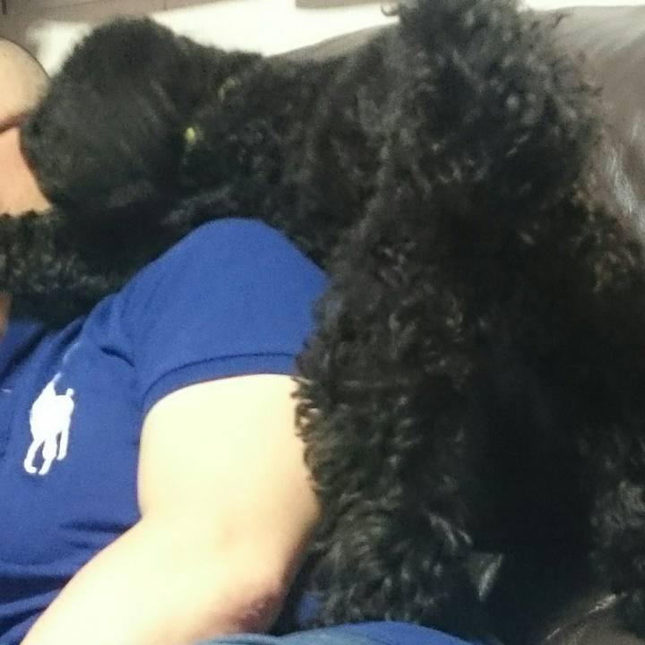 9abe5829 ed2b 483d 8398 331129d00218