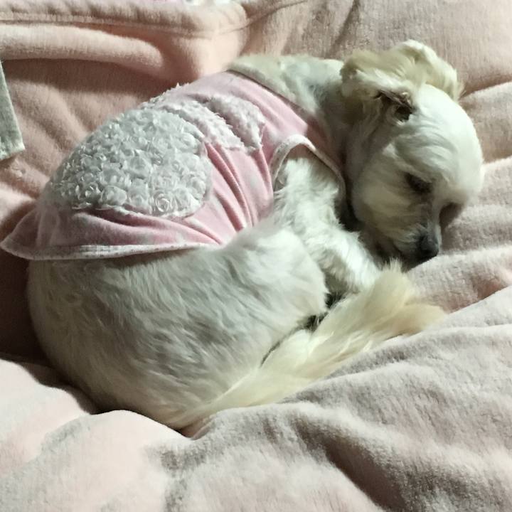 9abe58b7 5c53 4eb6 a75f 338ab5e63b01