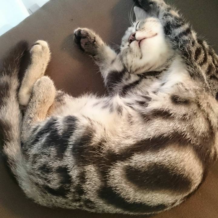 9abe686d 7cb3 4531 ae26 e8107925f6c2