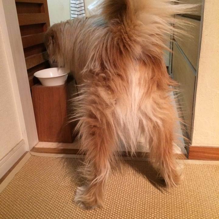 9abe7e73 5726 45b7 be7f bb60e17132ed