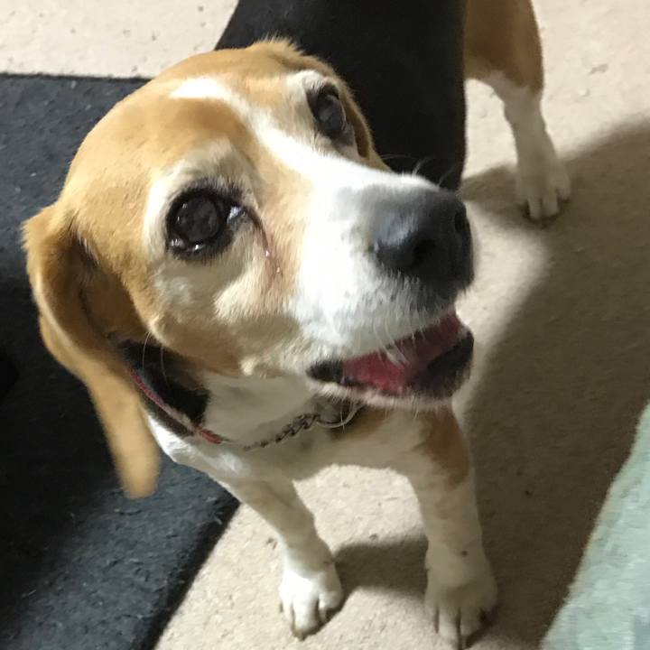 9abe863e d51a 44f5 a720 26aababcf52f