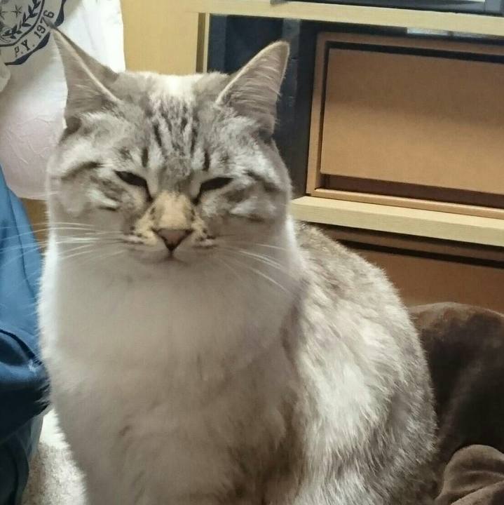 9abefdfa baf1 4b07 8c91 e2dbedd33537