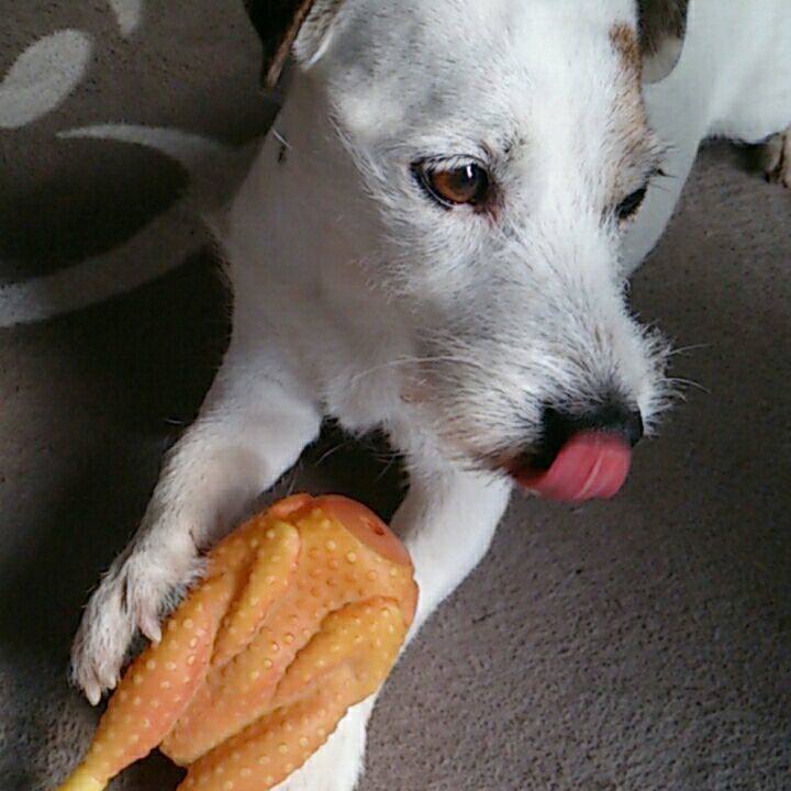 9abfea2a dc5b 48ac acca e34e2a2eb2cd