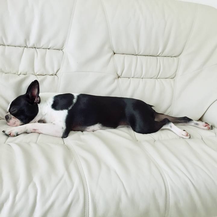 9ac05bc8 3e27 4995 9ac3 122992c513fb