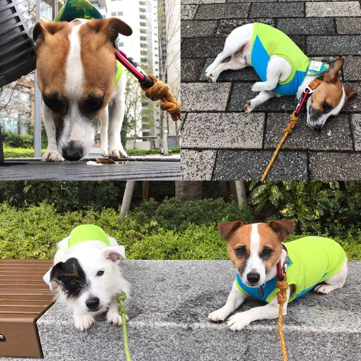 9ac0d19c ad0e 4586 a3bd 8bf21f151b65