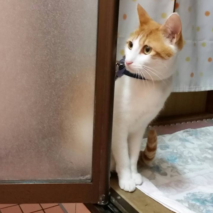 9ac1e3ce 201f 4374 ab63 26eab0b7e76e