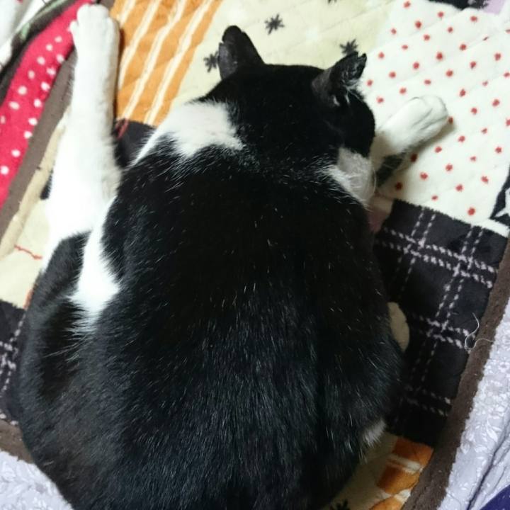 9ac34db8 b5c8 4864 afd9 80f5257d4b43