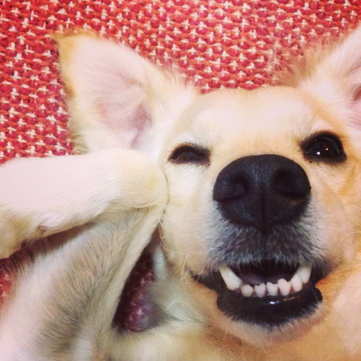 9ac3aa68 b491 463b aef0 765a706cc1d1