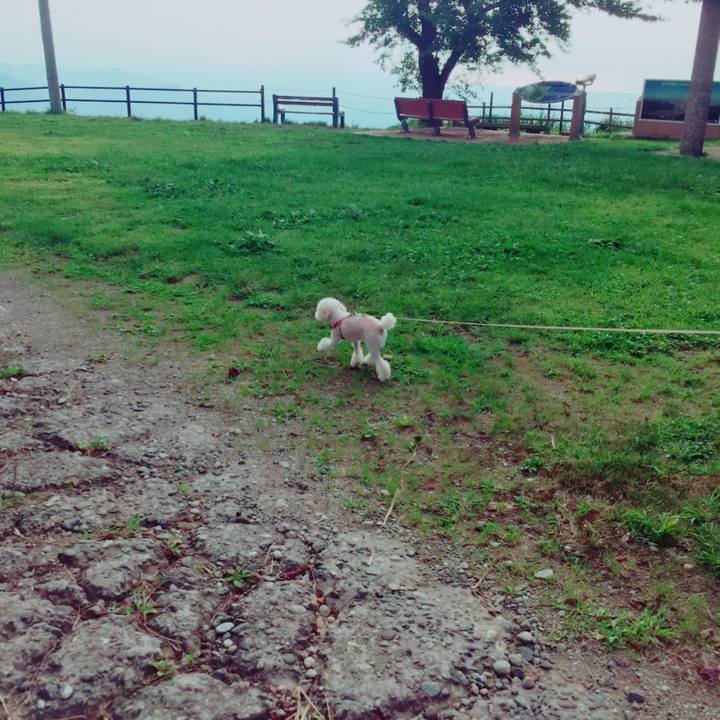 9ac3bd1a d1c3 42ed b802 da7aca3291e5