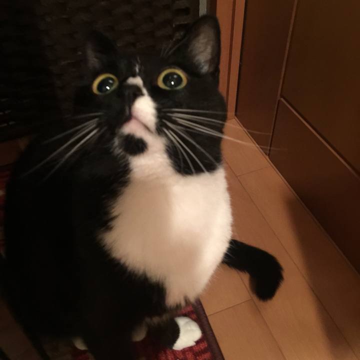 9ac3eee1 3a5c 4752 b426 427bac92fbb2