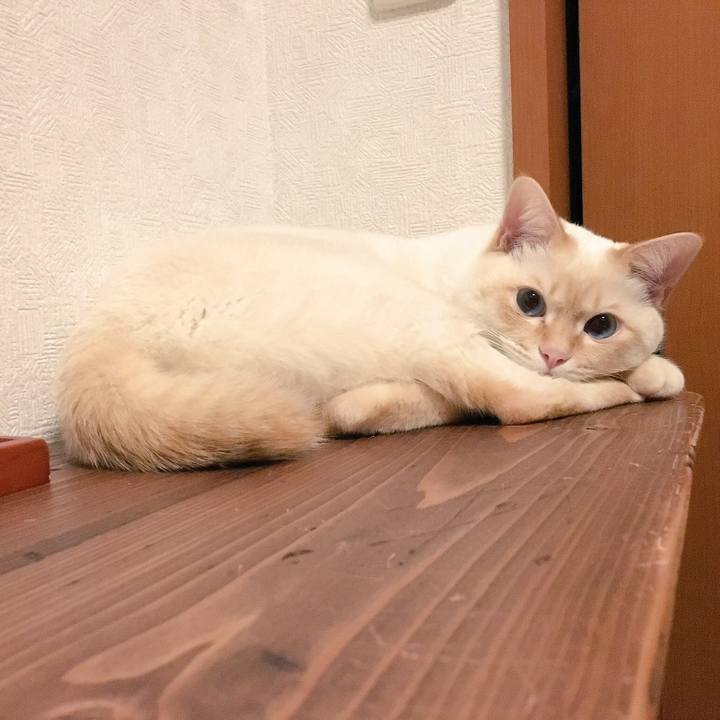 9ac42e30 8f52 4d4c 8a65 588a43e664b8