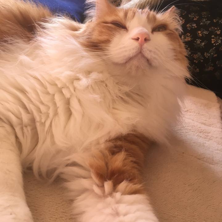 9ac4b4eb 73a7 4b83 a5d9 ab47cd0c9db1