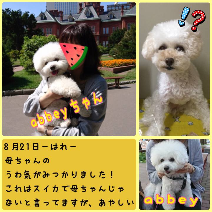 9ac4e191 c647 4c1a 98a7 9ba07b31516c