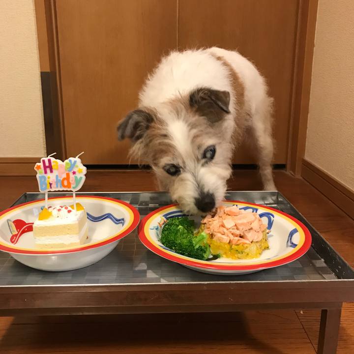 9ac50e3c d2b4 423f 941a 747b6ea30878