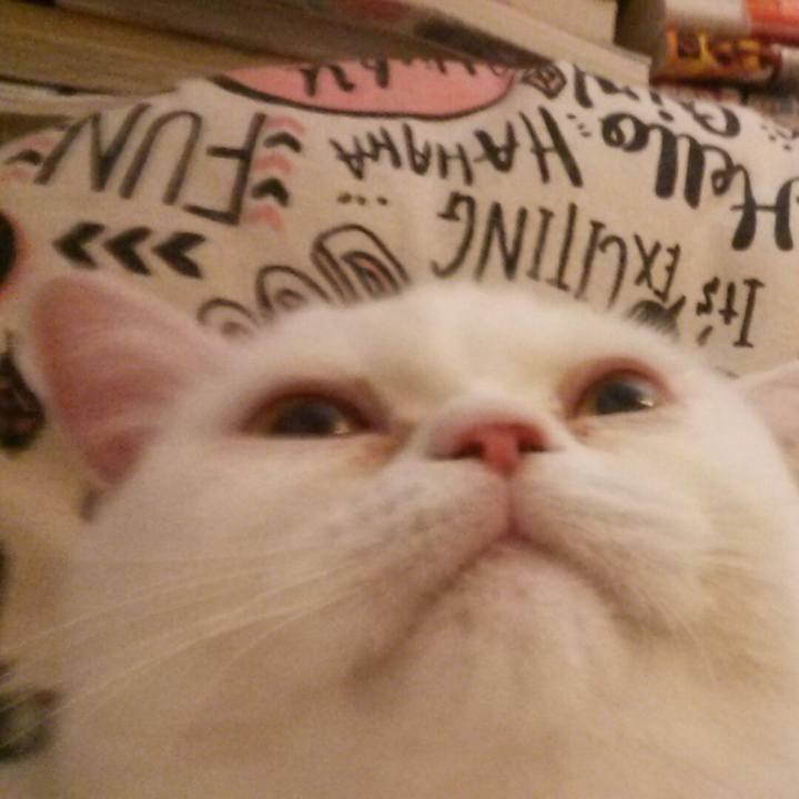 9ac5dc27 b372 43bb a8e2 adcb79156c77