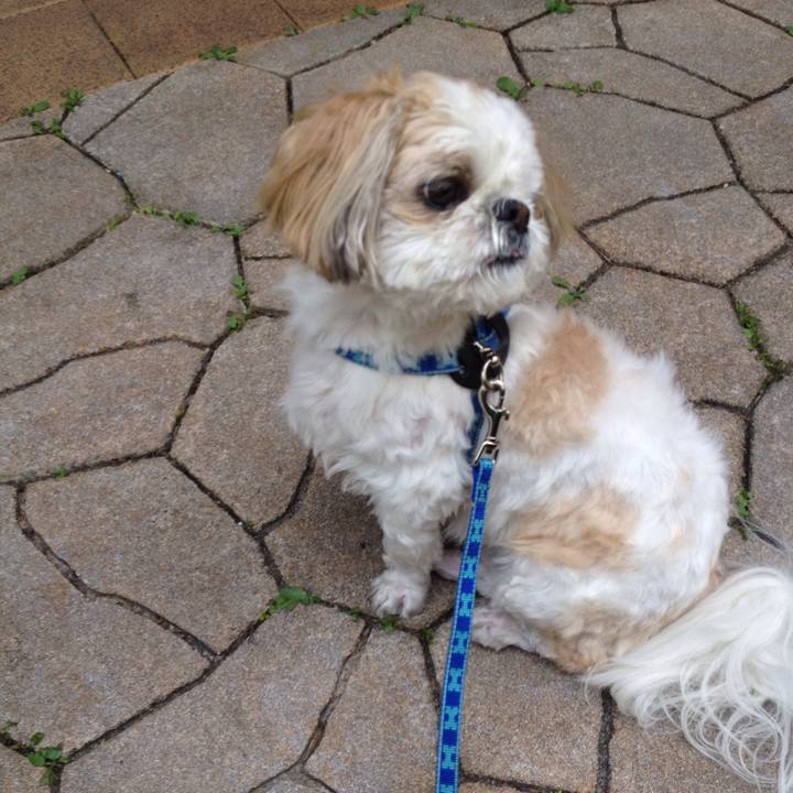 9ac634e9 c890 4763 89ed c2066f0baf26