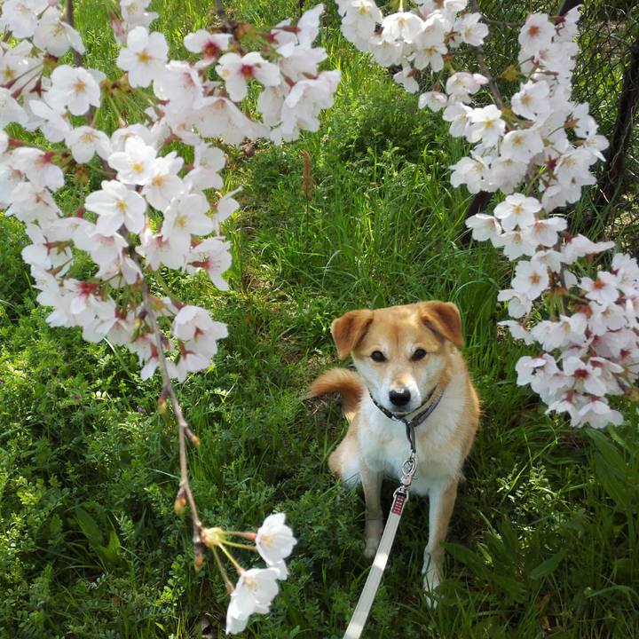 9ac6549c 35d0 4337 8ce4 80fac272a304