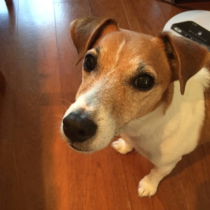 9ac6d3b4 db50 4ff4 a582 cc64738568e8