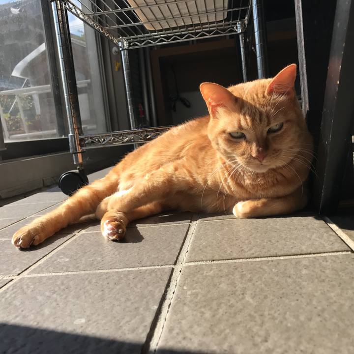 9ac6fed4 fc33 47b4 8d81 02a92d818fb7