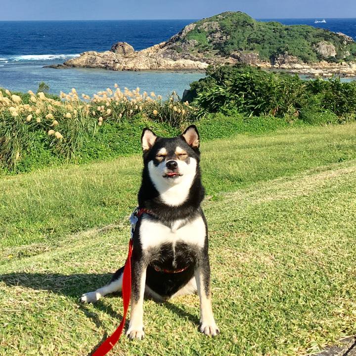 9ac8ea32 b2d8 454b 9893 7909f0cf158b