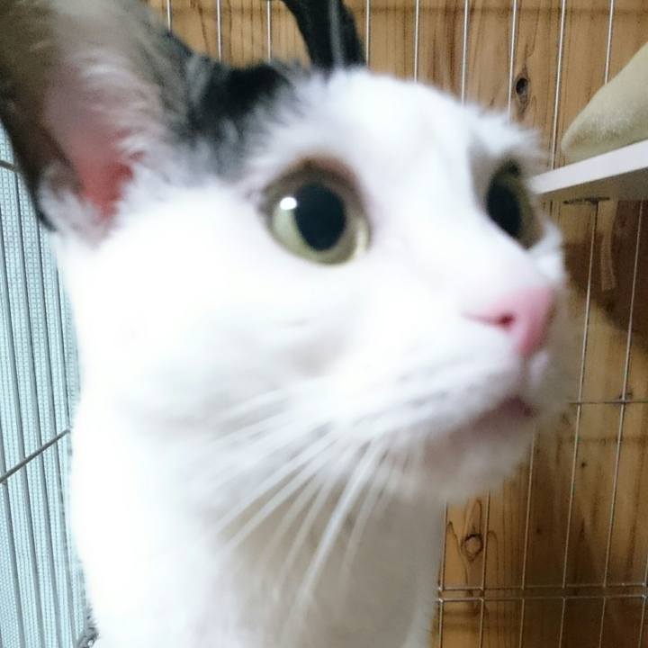 9acb1c7e 532d 4673 84ce 972fc117a1d1