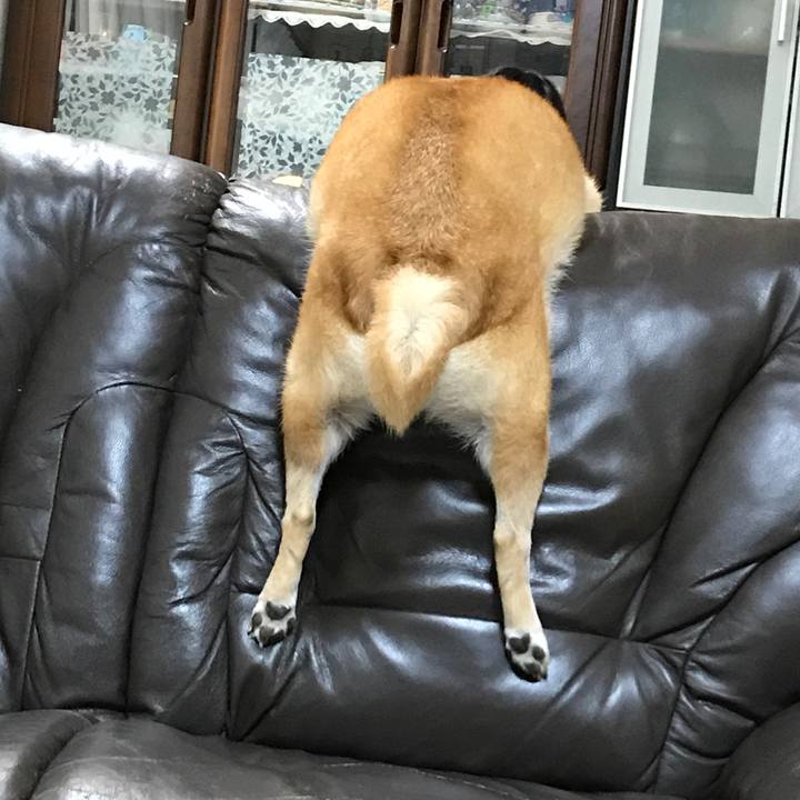 9acb4e76 3b35 49dd 9a09 41a6ce8b4f00