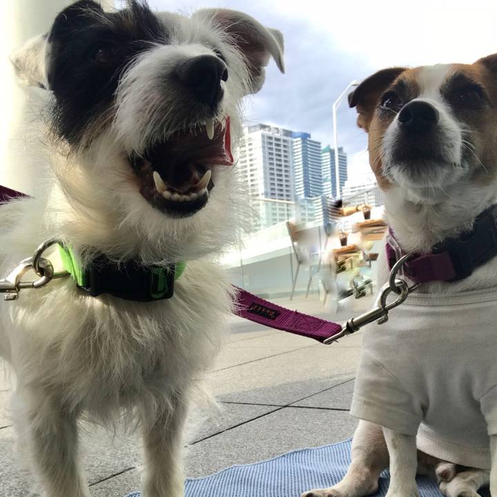 9acb5752 3d7f 4ed3 9207 b477b9c16019