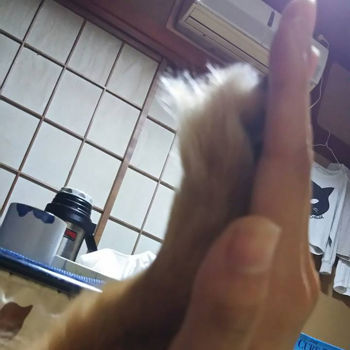 9acb9a96 b3bd 401c 8cca 6c8105fe4ab0