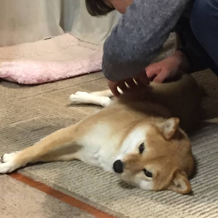 9acba4e9 5b79 4bbd af8e 283d34c780fd