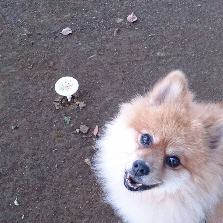 9acba83d dae1 4019 bbe7 e73a436452a7