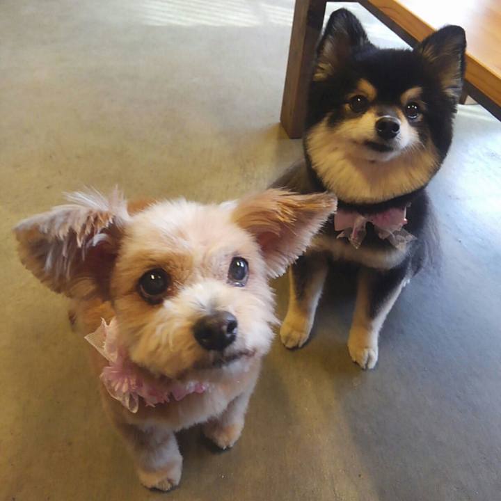 9acbcdd3 4e63 4978 959b ab3476197cf7