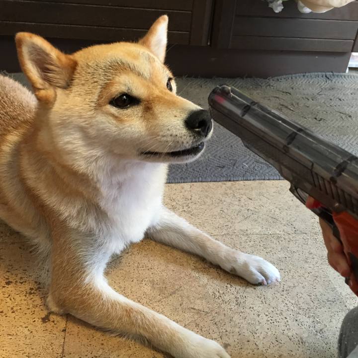 9acc33af 4c93 48d8 8b2d 088d14a7257a