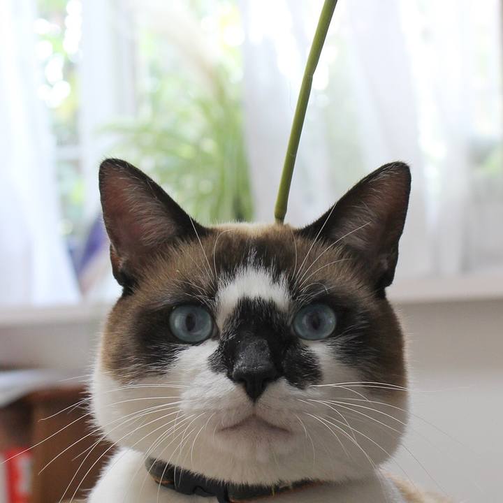 9accb459 769c 4867 a8c3 47b3a87be293