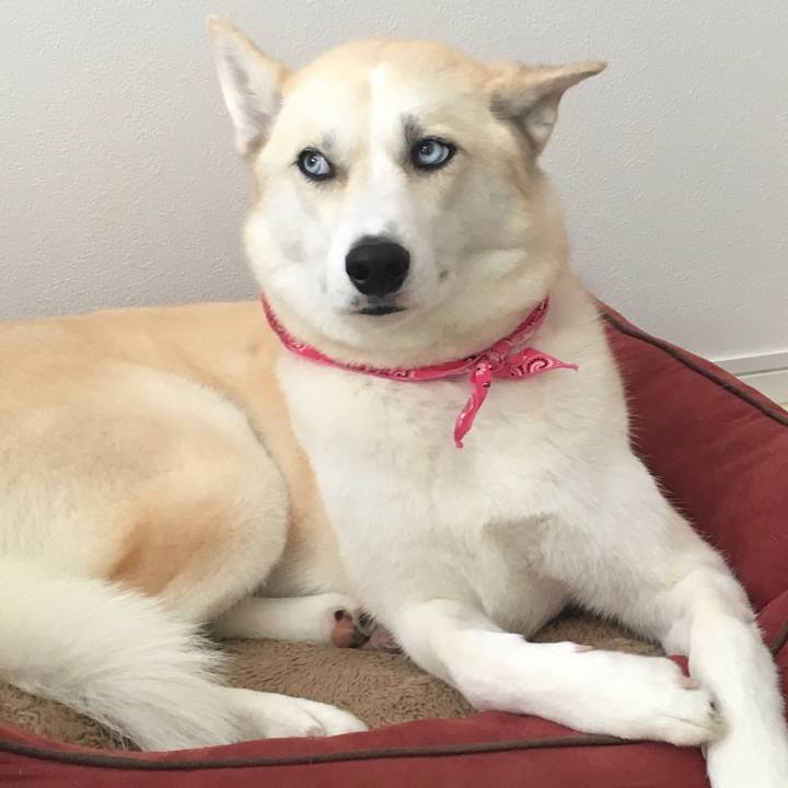 9acd6664 2ad6 4e2f 8fb6 b4e493612209