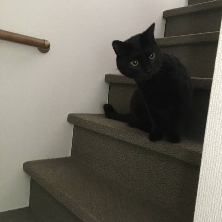 9acd9703 32d9 46d6 a2a8 2405a4e282a2