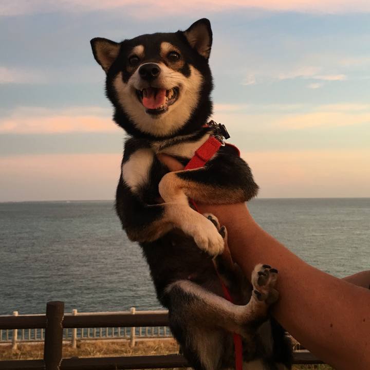 9ace25bb c915 405b bf90 7237fcb6c0ad