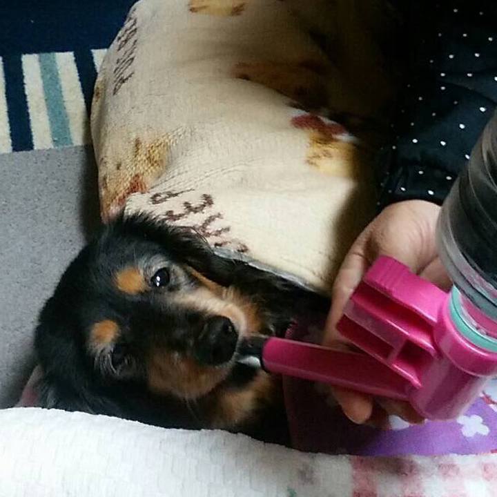 9ace39e6 48ae 4d68 9b38 faf222179c31