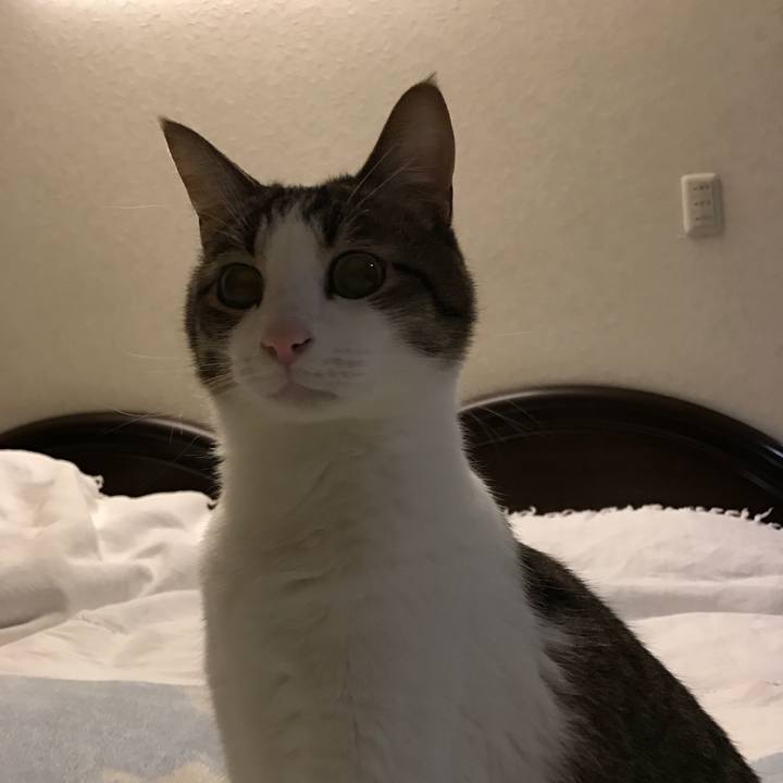 9ace92d0 7fca 443e 875b 256e806645bd